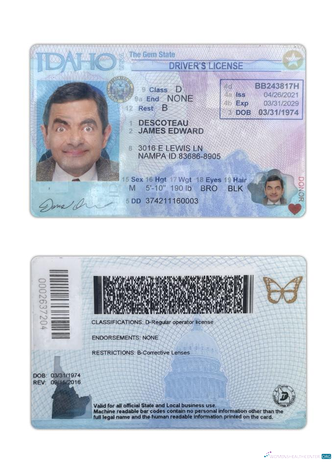 download USA Idaho driving license 2021 present